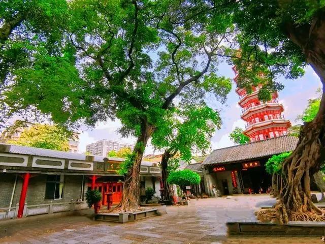 Six-Banyan-Temple-guangzhou
